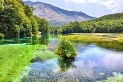 Blue-Eye-Spring-Lake